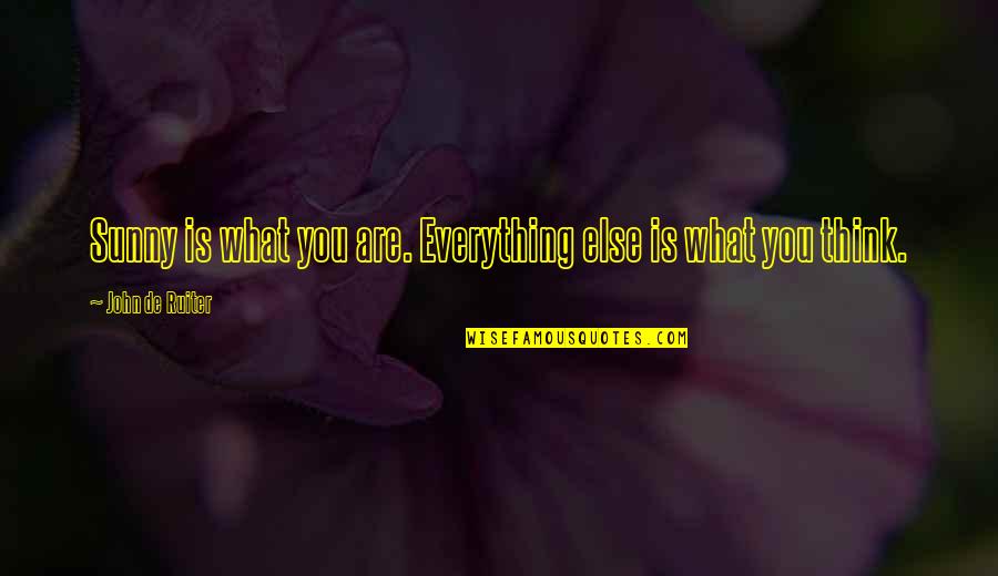 What Are You Thinking Quotes By John De Ruiter: Sunny is what you are. Everything else is