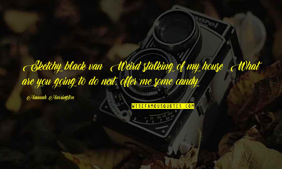 What Are You To Me Quotes By Hannah Harrington: Sketchy black van? Weird stalking of my house?