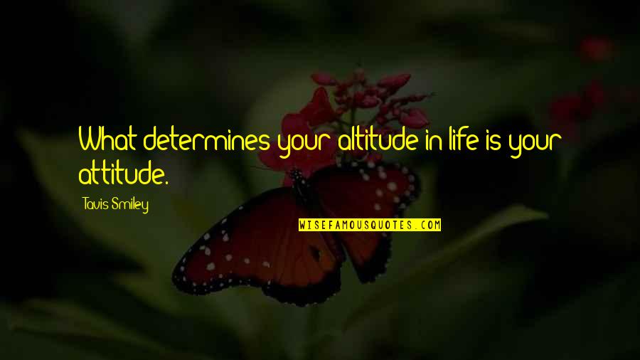 What Attitude Is Quotes By Tavis Smiley: What determines your altitude in life is your What Attitude Is Quotes By Tavis Smiley: What determines your altitude in life is your