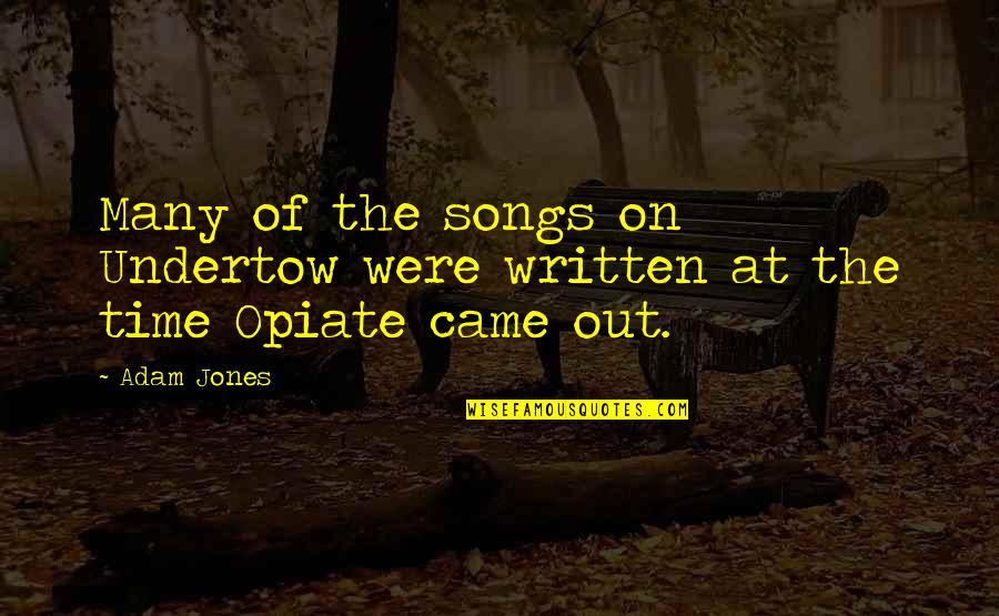 What Causes Stress Quotes By Adam Jones: Many of the songs on Undertow were written