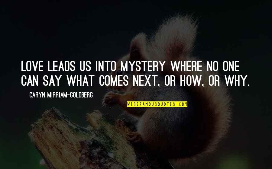 What Comes Next Quotes By Caryn Mirriam-Goldberg: Love leads us into mystery where no one