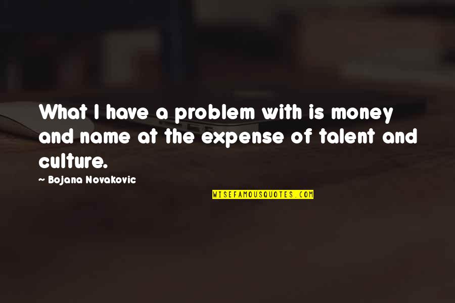 What Culture Is Quotes By Bojana Novakovic: What I have a problem with is money