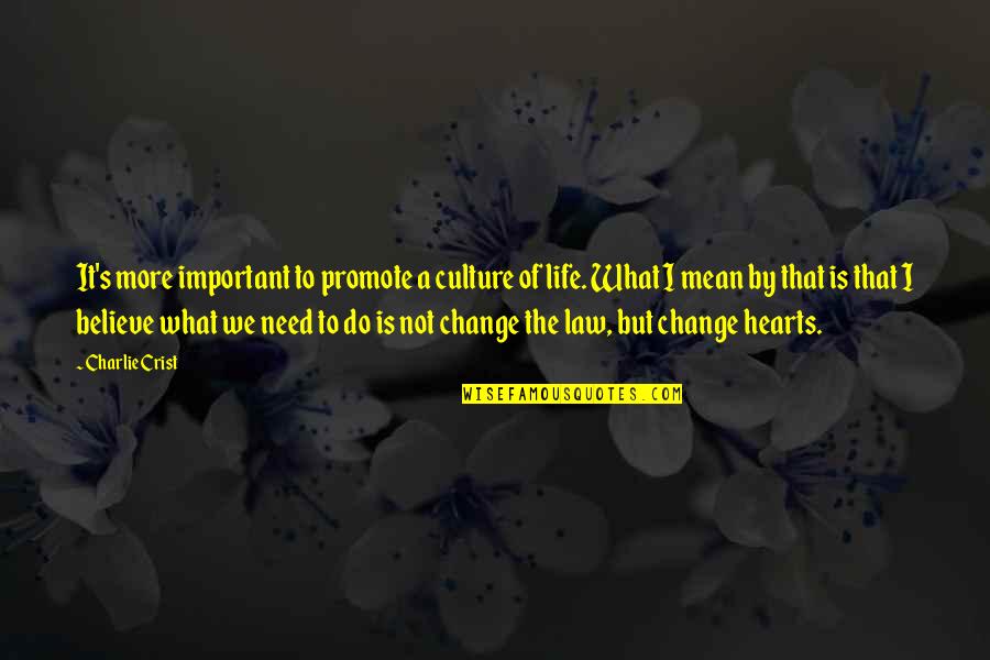 What Culture Is Quotes By Charlie Crist: It's more important to promote a culture of