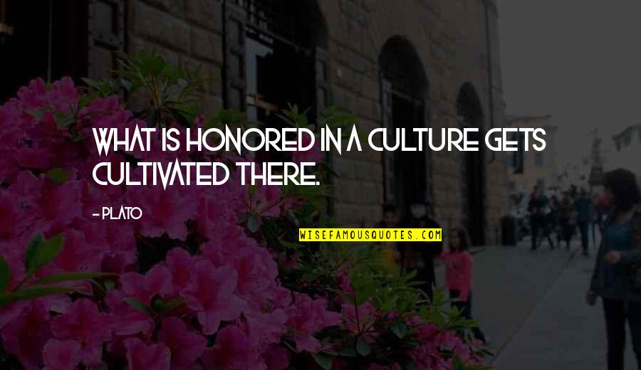 What Culture Is Quotes By Plato: What is honored in a culture gets cultivated