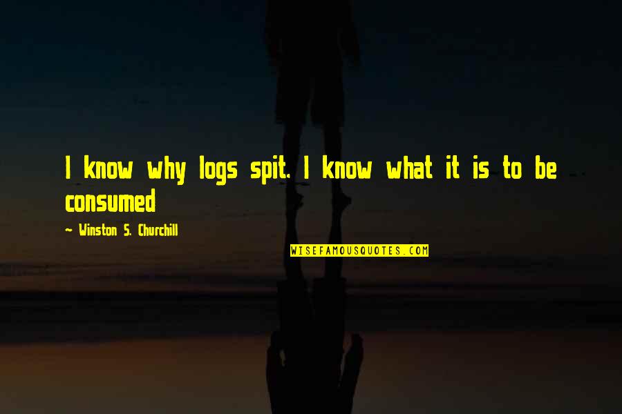 What Depression Is Quotes By Winston S. Churchill: I know why logs spit. I know what
