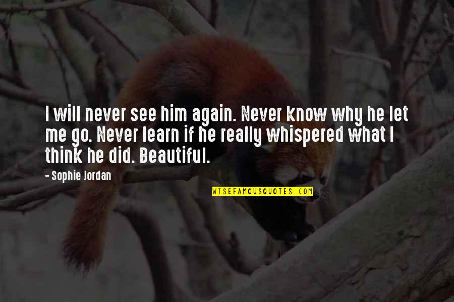 What Did We Learn Quotes By Sophie Jordan: I will never see him again. Never know What Did We Learn Quotes By Sophie Jordan: I will never see him again. Never know