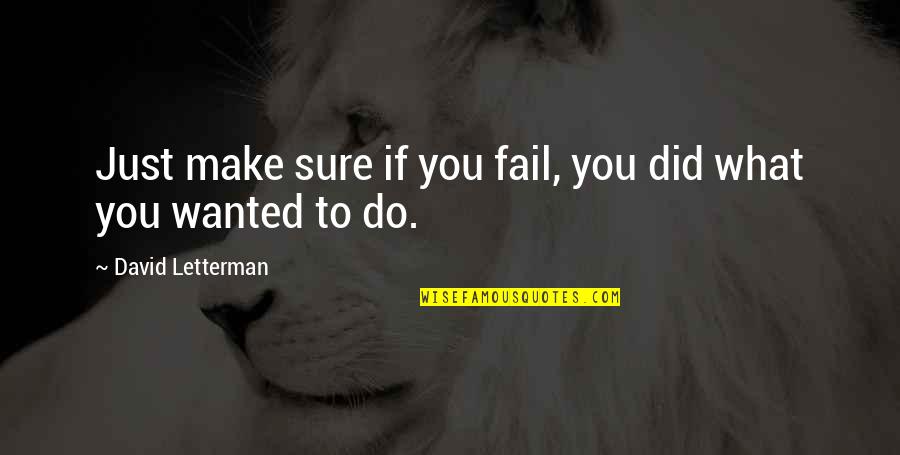 What Did You Do Quotes By David Letterman: Just make sure if you fail, you did