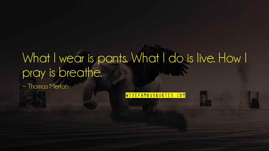 What Do I Wear Quotes By Thomas Merton: What I wear is pants. What I do