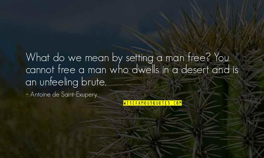 What Do You Mean Quotes By Antoine De Saint-Exupery: What do we mean by setting a man