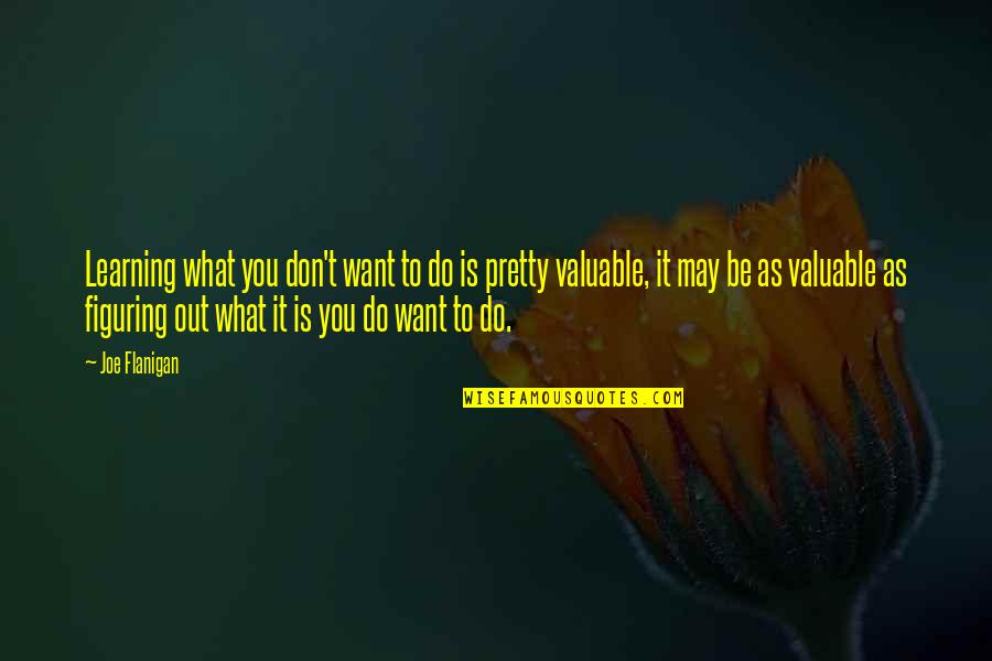 What Do You Want To Be Quotes By Joe Flanigan: Learning what you don't want to do is