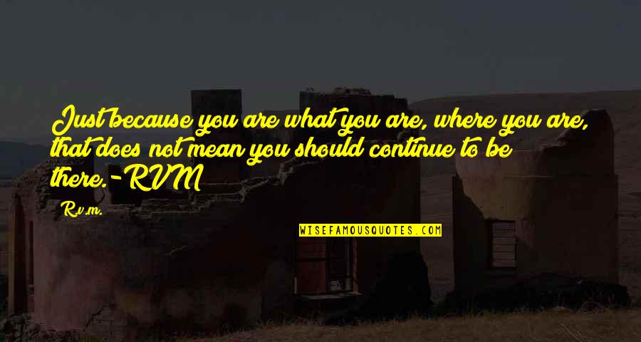 What Does It All Mean Quotes By R.v.m.: Just because you are what you are, where