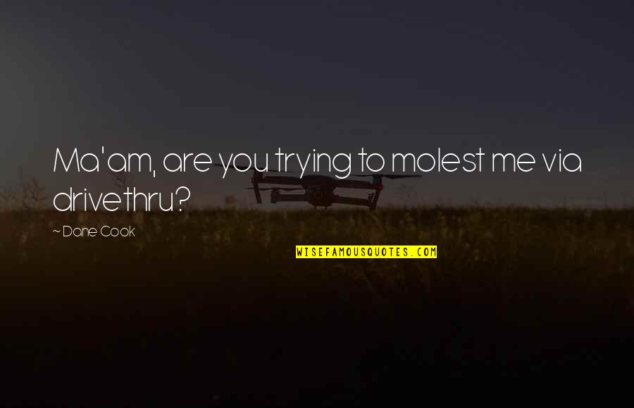 What Does It Mean To Reflect On A Quotes By Dane Cook: Ma'am, are you trying to molest me via
