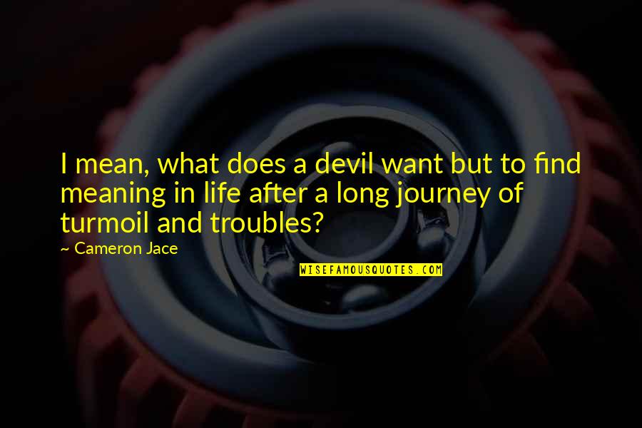 What Does Life Mean Quotes By Cameron Jace: I mean, what does a devil want but What Does Life Mean Quotes By Cameron Jace: I mean, what does a devil want but