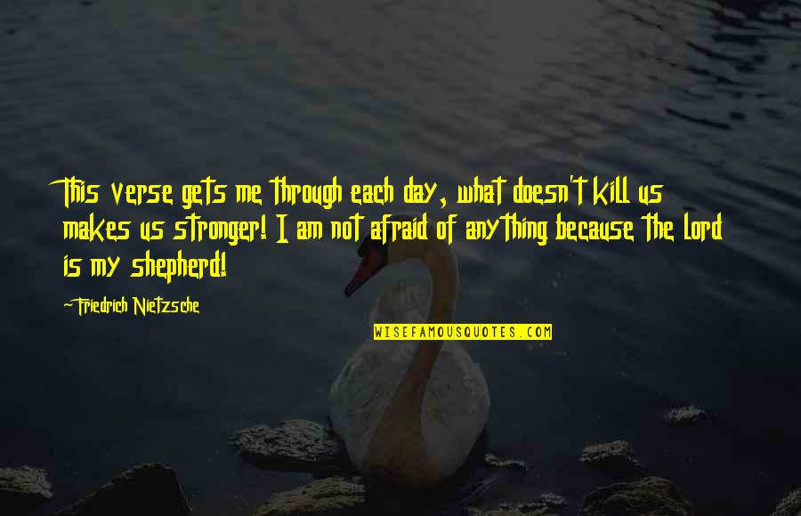 What Doesn't Kill Me Quotes By Friedrich Nietzsche: This verse gets me through each day, what