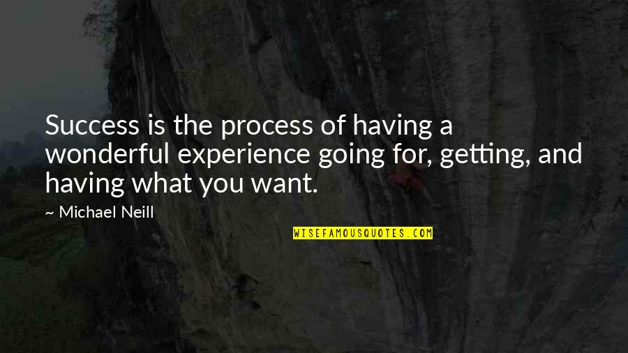 What Experience Quotes By Michael Neill: Success is the process of having a wonderful