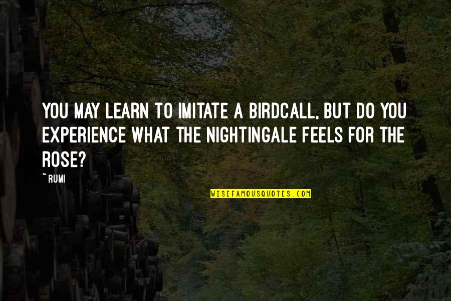 What Experience Quotes By Rumi: You may learn to imitate a birdcall, but