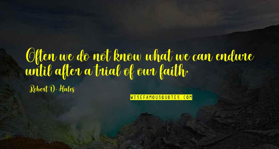 What Faith Can Do Quotes By Robert D. Hales: Often we do not know what we can