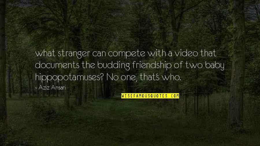 What Friendship Quotes By Aziz Ansari: what stranger can compete with a video that