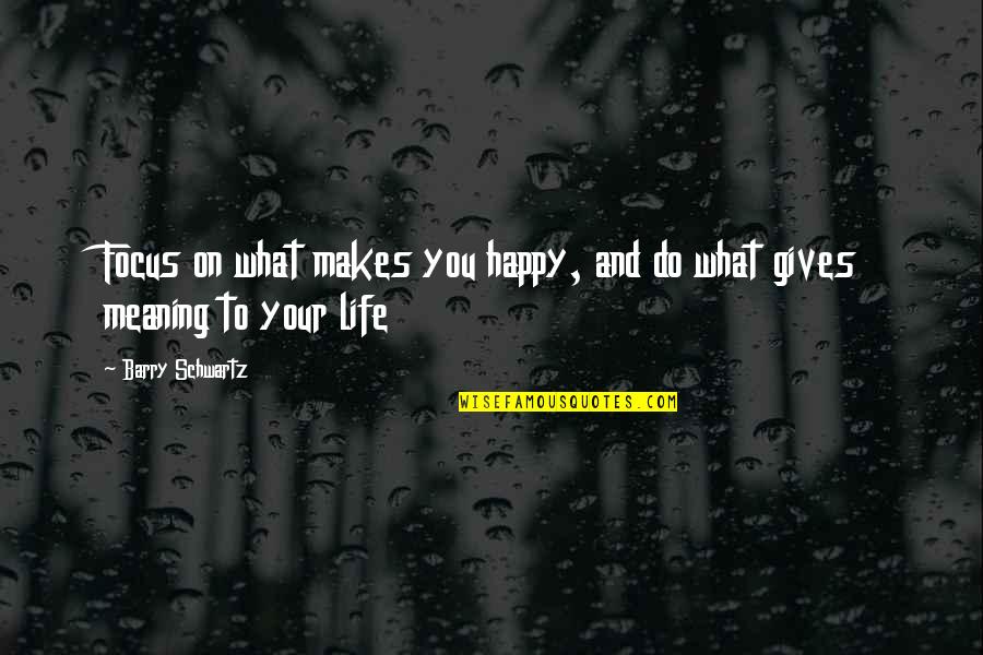 What Gives Life Meaning Quotes By Barry Schwartz: Focus on what makes you happy, and do