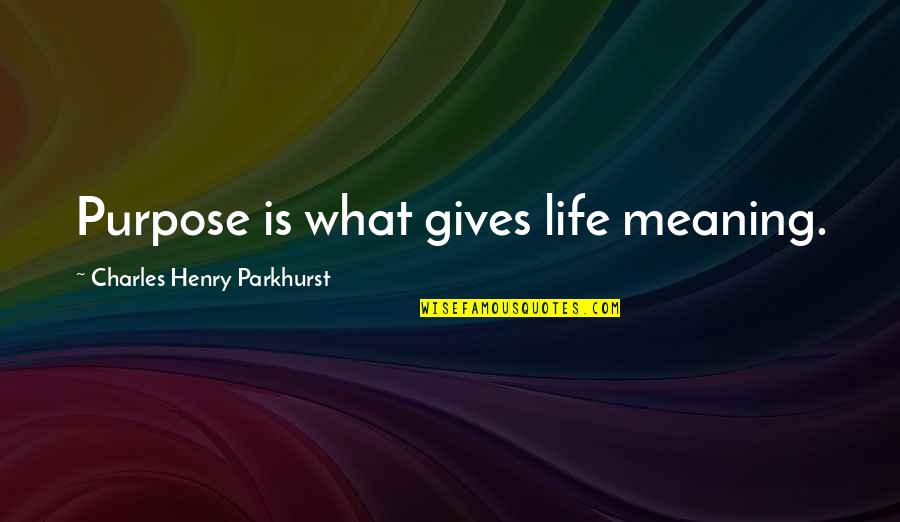 What Gives Life Quotes By Charles Henry Parkhurst: Purpose is what gives life meaning.