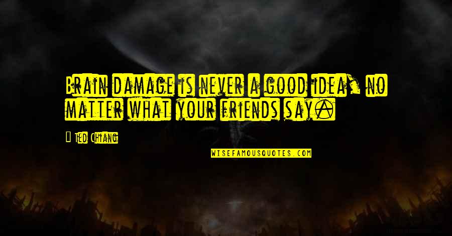 What Good Friends Are Quotes By Ted Chiang: Brain damage is never a good idea, no