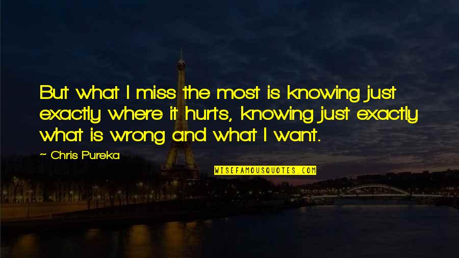 What Hurts Quotes By Chris Pureka: But what I miss the most is knowing