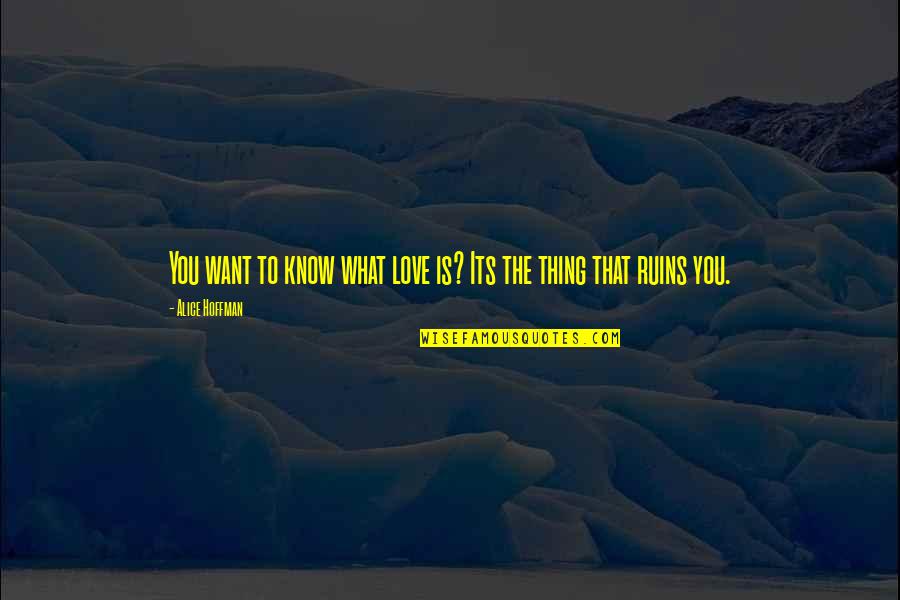 What Hurts You Quotes By Alice Hoffman: You want to know what love is? Its