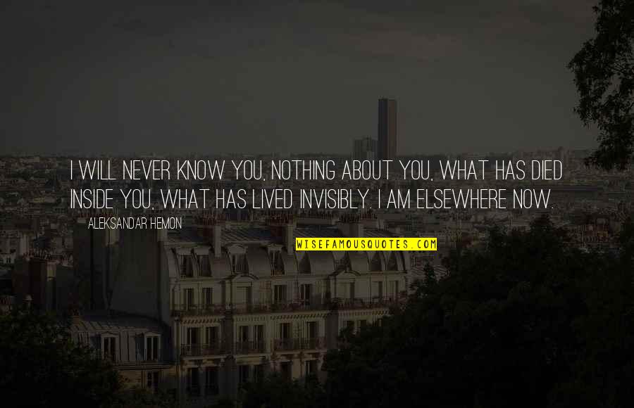 What I Am Now Quotes By Aleksandar Hemon: I will never know you, nothing about you,