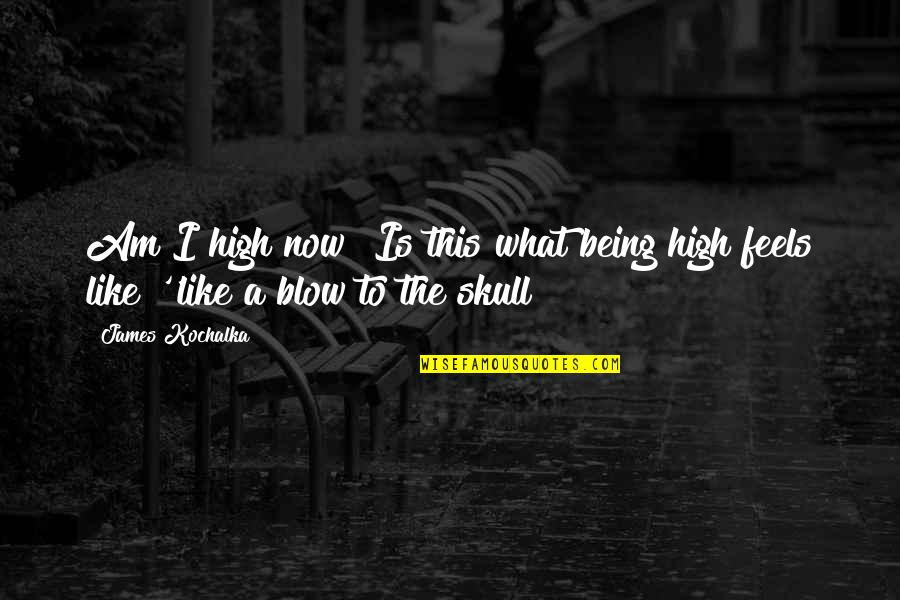 What I Am Now Quotes By James Kochalka: Am I high now? Is this what being