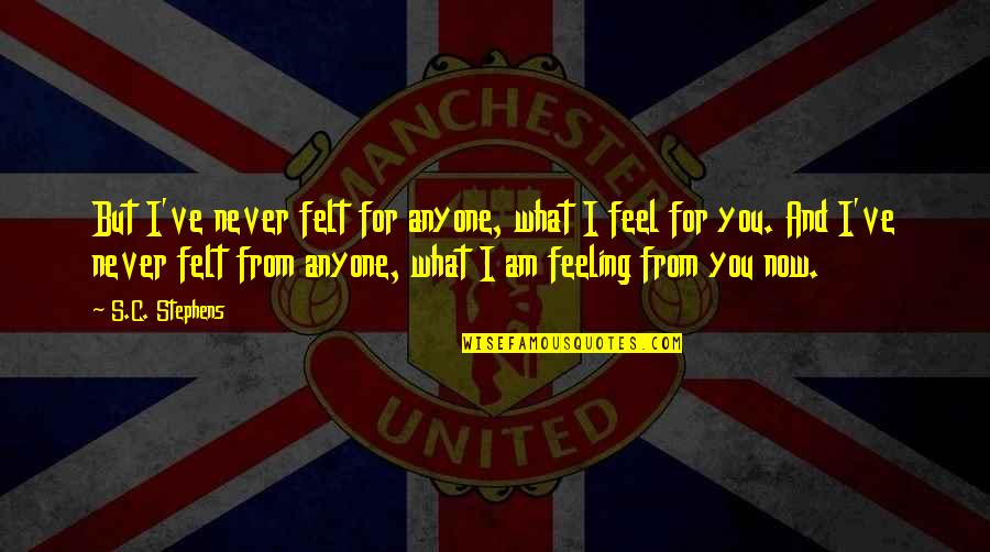 What I Feel For You Quotes By S.C. Stephens: But I've never felt for anyone, what I What I Feel For You Quotes By S.C. Stephens: But I've never felt for anyone, what I