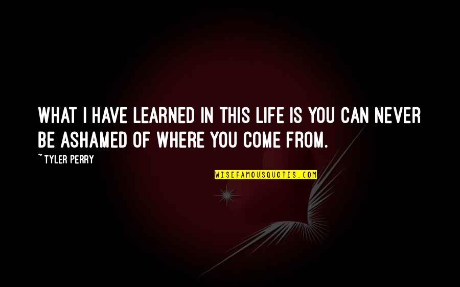 What I Have Learned In Life Quotes By Tyler Perry: What I have learned in this life is