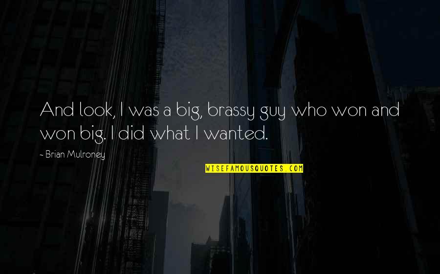 What I Look For In A Guy Quotes By Brian Mulroney: And look, I was a big, brassy guy