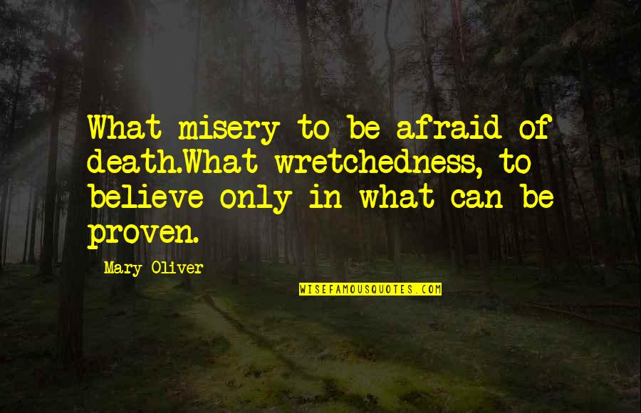 What I Very Much Believe In Quotes By Mary Oliver: What misery to be afraid of death.What wretchedness,