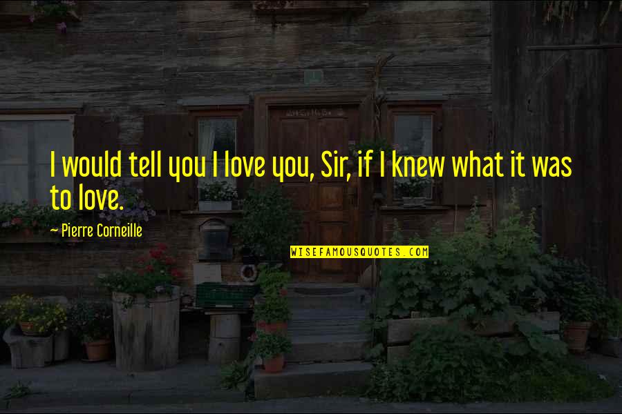 What If I Love You Quotes By Pierre Corneille: I would tell you I love you, Sir,