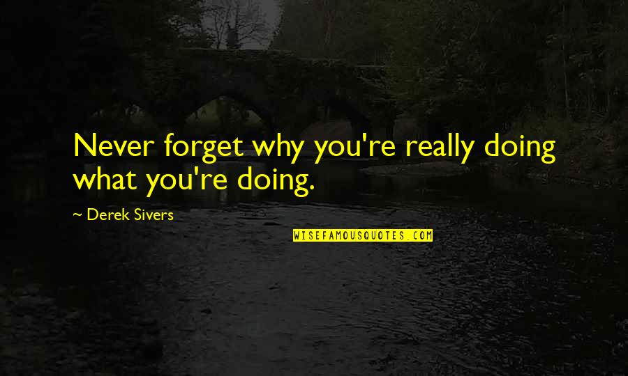 What If I Never Forget You Quotes By Derek Sivers: Never forget why you're really doing what you're What If I Never Forget You Quotes By Derek Sivers: Never forget why you're really doing what you're