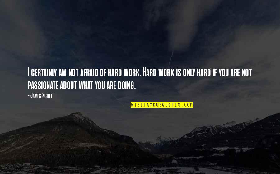 What If I Quotes By James Scott: I certainly am not afraid of hard work. What If I Quotes By James Scott: I certainly am not afraid of hard work.