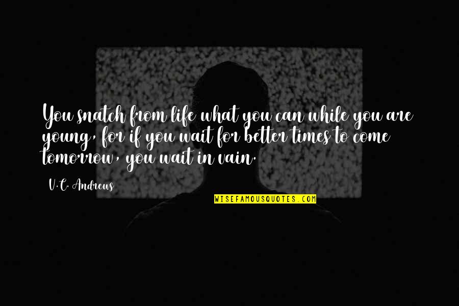 What If In Life Quotes By V.C. Andrews: You snatch from life what you can while What If In Life Quotes By V.C. Andrews: You snatch from life what you can while