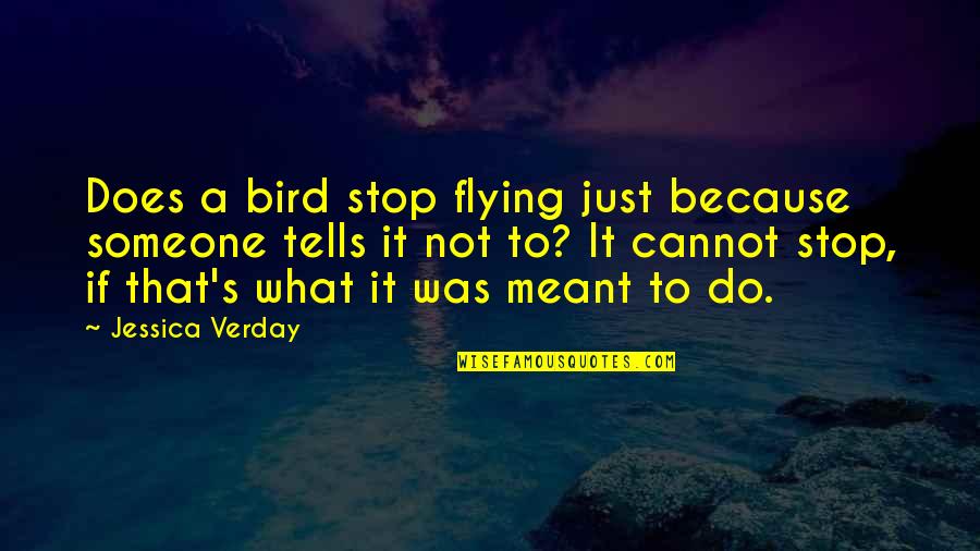 What If It's Meant To Be Quotes By Jessica Verday: Does a bird stop flying just because someone