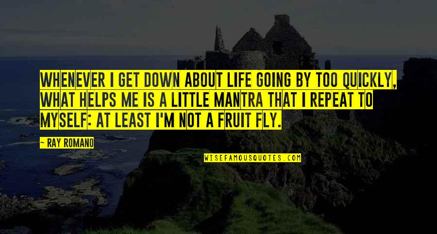 What If You Fly Quotes By Ray Romano: Whenever I get down about life going by