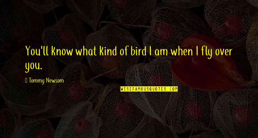 What If You Fly Quotes By Tommy Newsom: You'll know what kind of bird I am