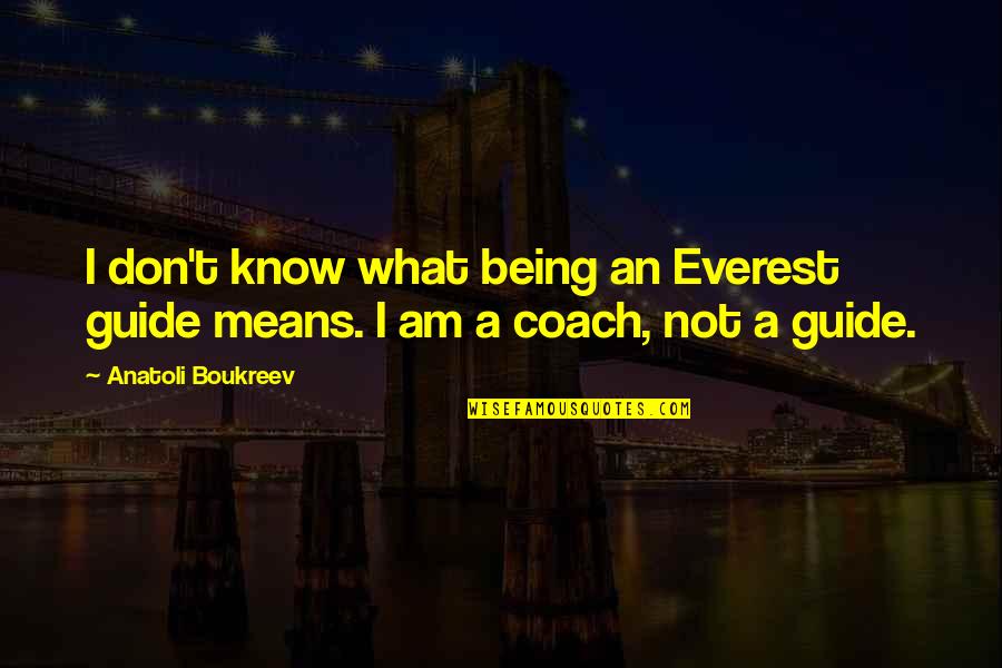 What Is A Coach Quotes By Anatoli Boukreev: I don't know what being an Everest guide What Is A Coach Quotes By Anatoli Boukreev: I don't know what being an Everest guide