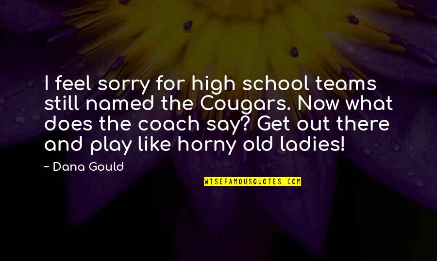 What Is A Coach Quotes By Dana Gould: I feel sorry for high school teams still What Is A Coach Quotes By Dana Gould: I feel sorry for high school teams still