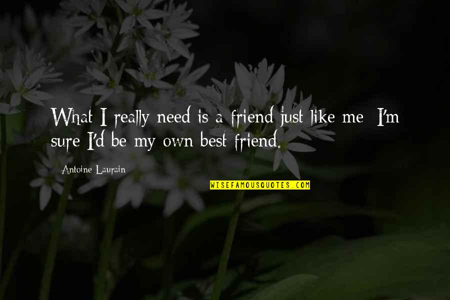 What Is A Friend Quotes By Antoine Laurain: What I really need is a friend just