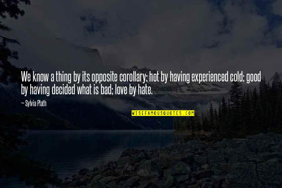 What Is A Good Love Quotes By Sylvia Plath: We know a thing by its opposite corollary; What Is A Good Love Quotes By Sylvia Plath: We know a thing by its opposite corollary;