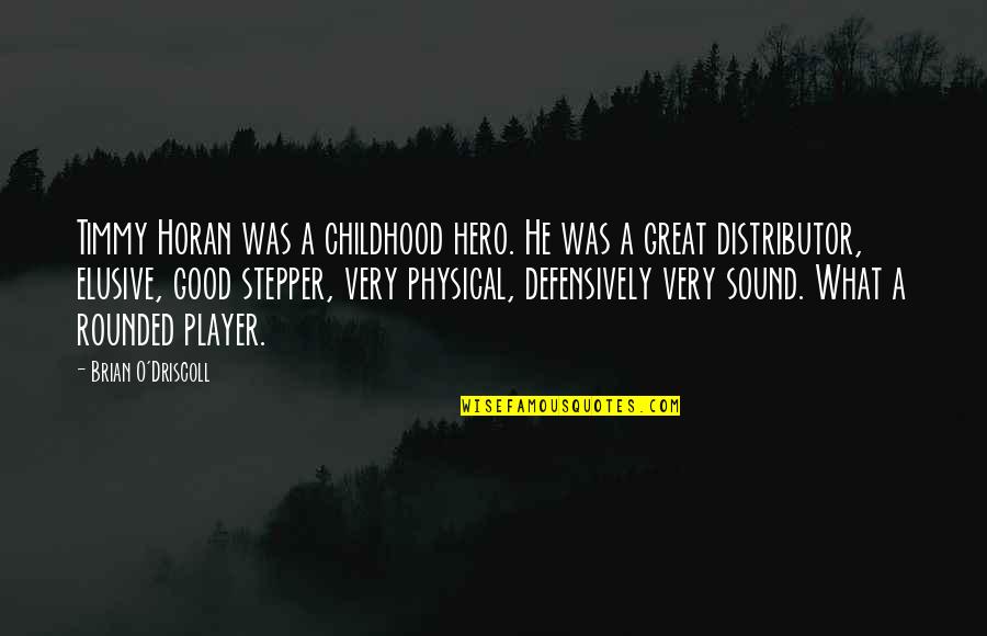 What Is A Hero Quotes By Brian O'Driscoll: Timmy Horan was a childhood hero. He was