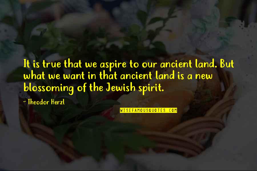 What Is A Spirit Quotes By Theodor Herzl: It is true that we aspire to our