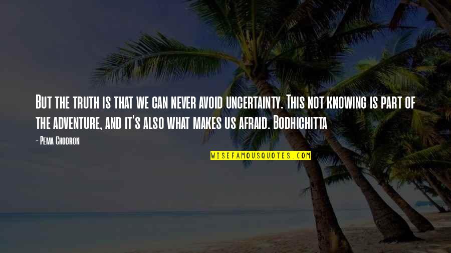 What Is Adventure Quotes By Pema Chodron: But the truth is that we can never