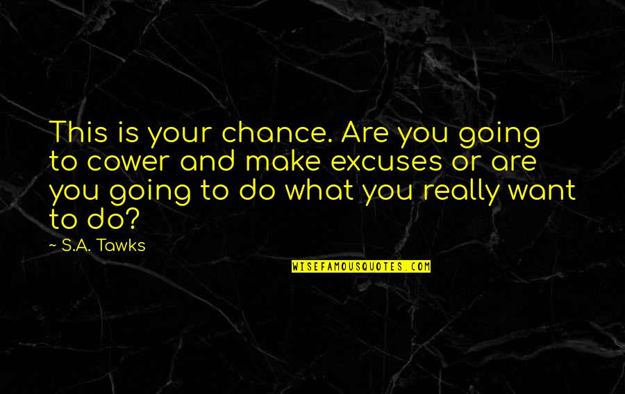 What Is Adventure Quotes By S.A. Tawks: This is your chance. Are you going to