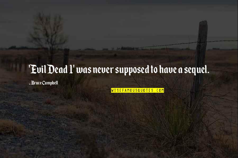 What Is Being Homesick Quotes By Bruce Campbell: 'Evil Dead 1' was never supposed to have