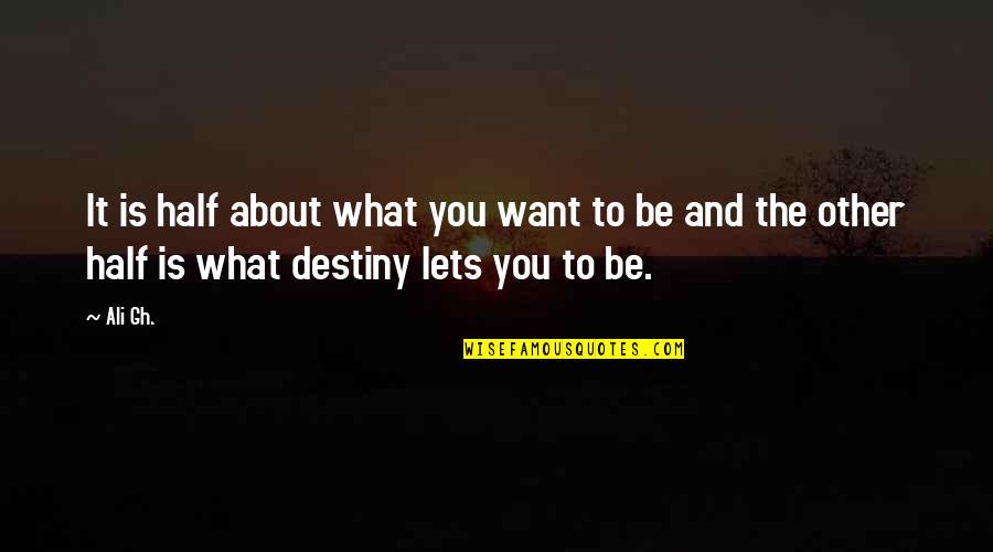 What Is Destiny Quotes By Ali Gh.: It is half about what you want to